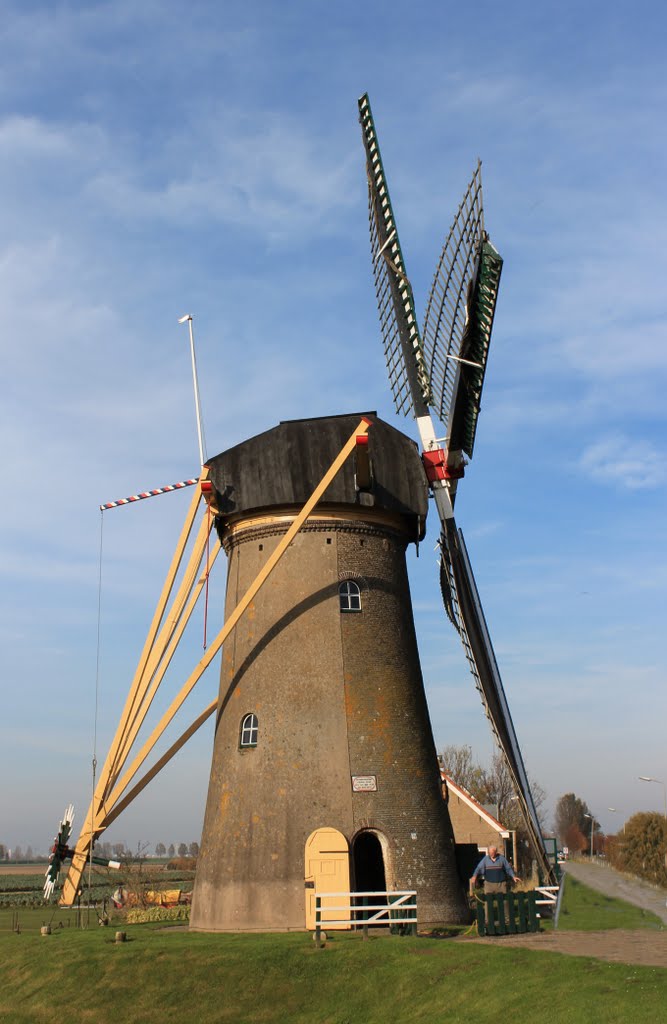 Nederland - Zuid-Holland - Piershil - Simonia - 1845 by Henny  Brouwers