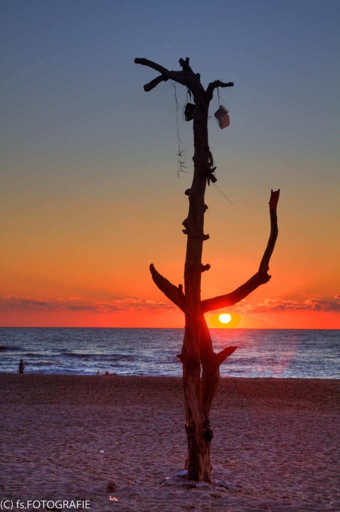 Strand bei Vejlby by Frank Stuke