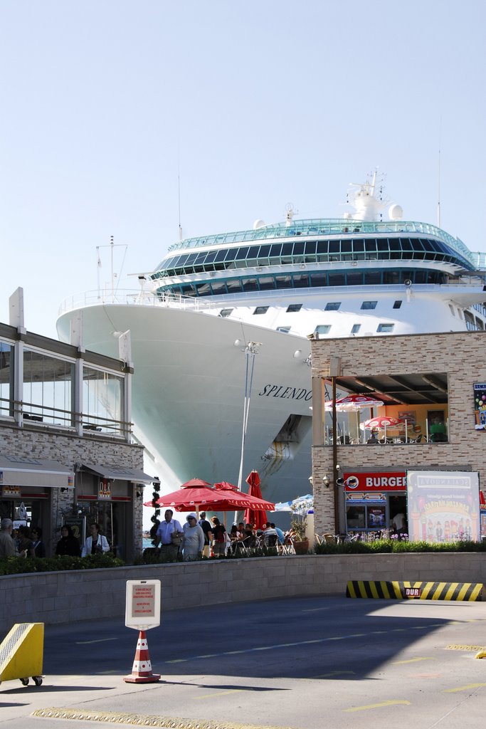 Cruise Ship at anchor in Kusadasi harbor by Fred Henstridge