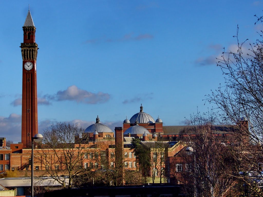 Birmingham University of Birmingham by Yanat