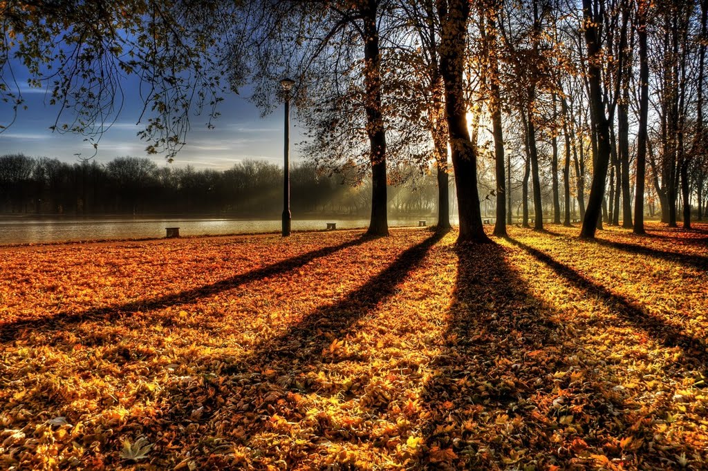 Park nad zalewem w Nowej Hucie by Sławomir Wadas