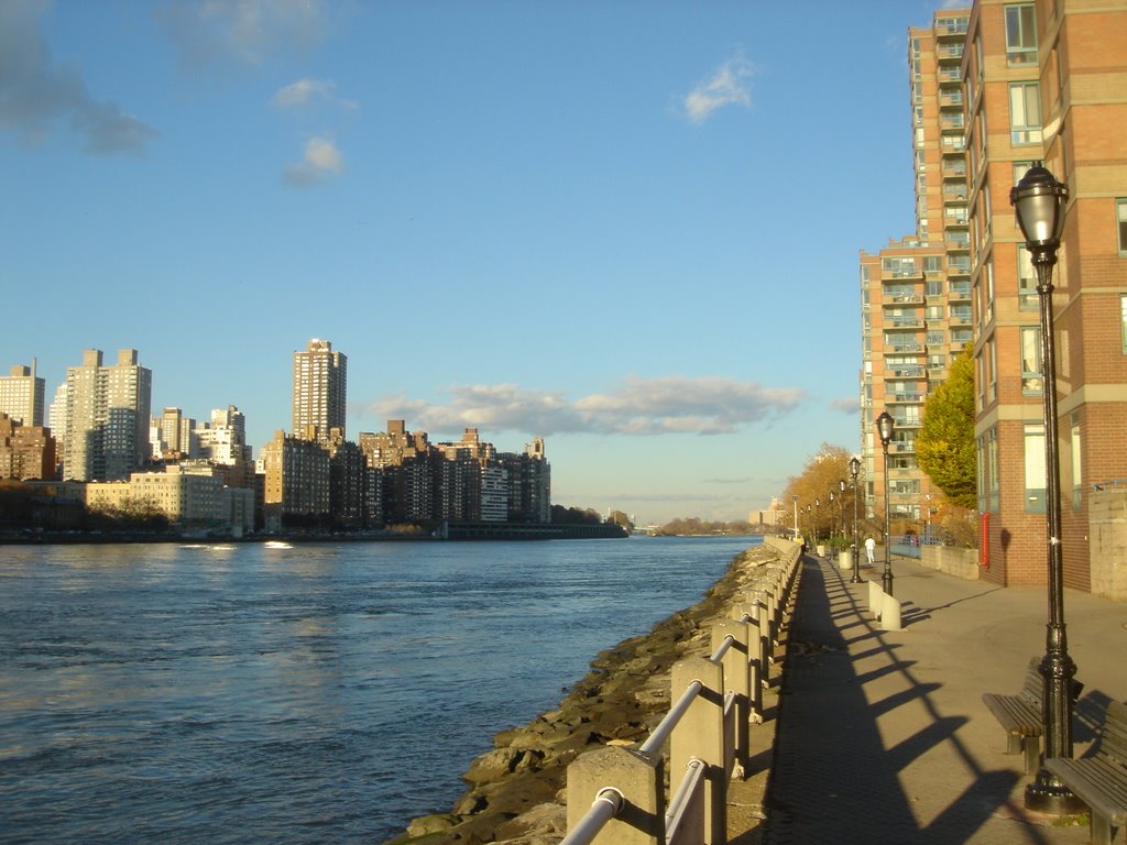 East River facing north from Roosevelt Island by aviator_rob