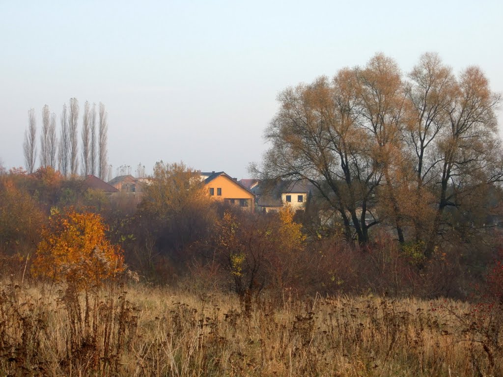 Jesień na Bezrzeczu by jantyp