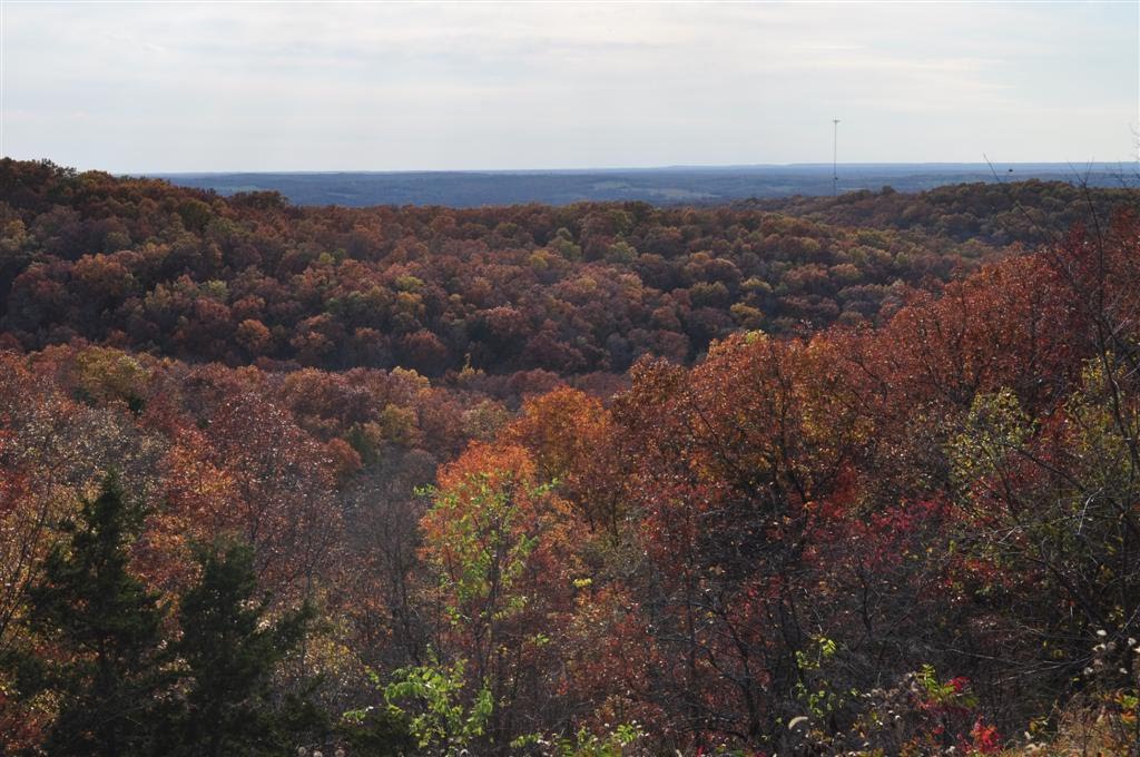 Scenic overlook, near Rolla National Airport, MO by marnox1