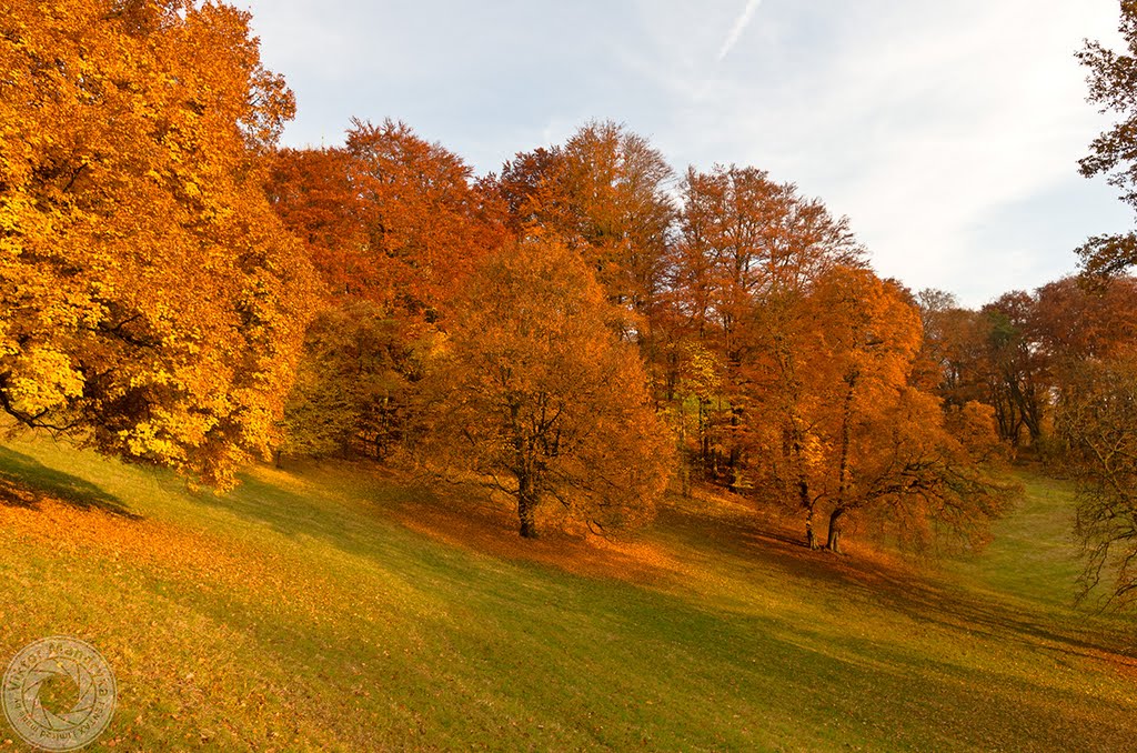 Autumn by Viktor Mandryka