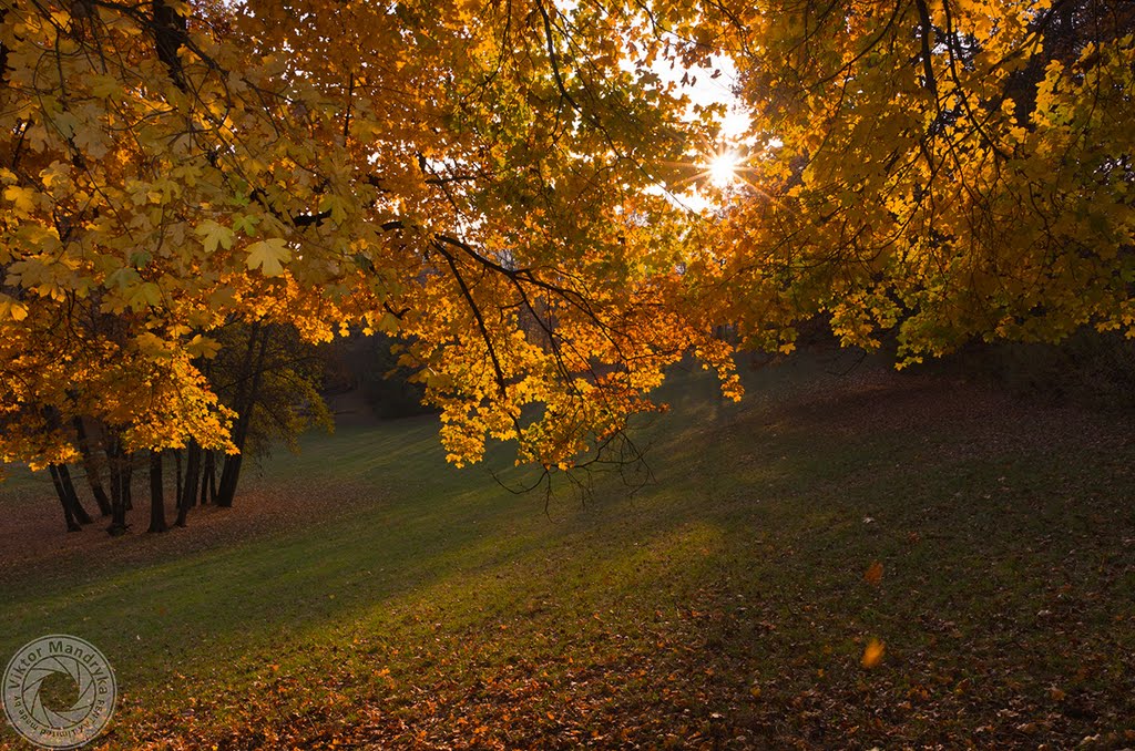 Autumn by Viktor Mandryka