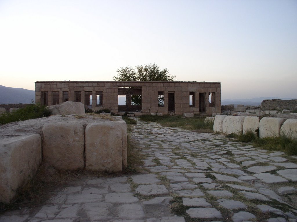 Pasargadae, Fars Province, Iran by pirzad