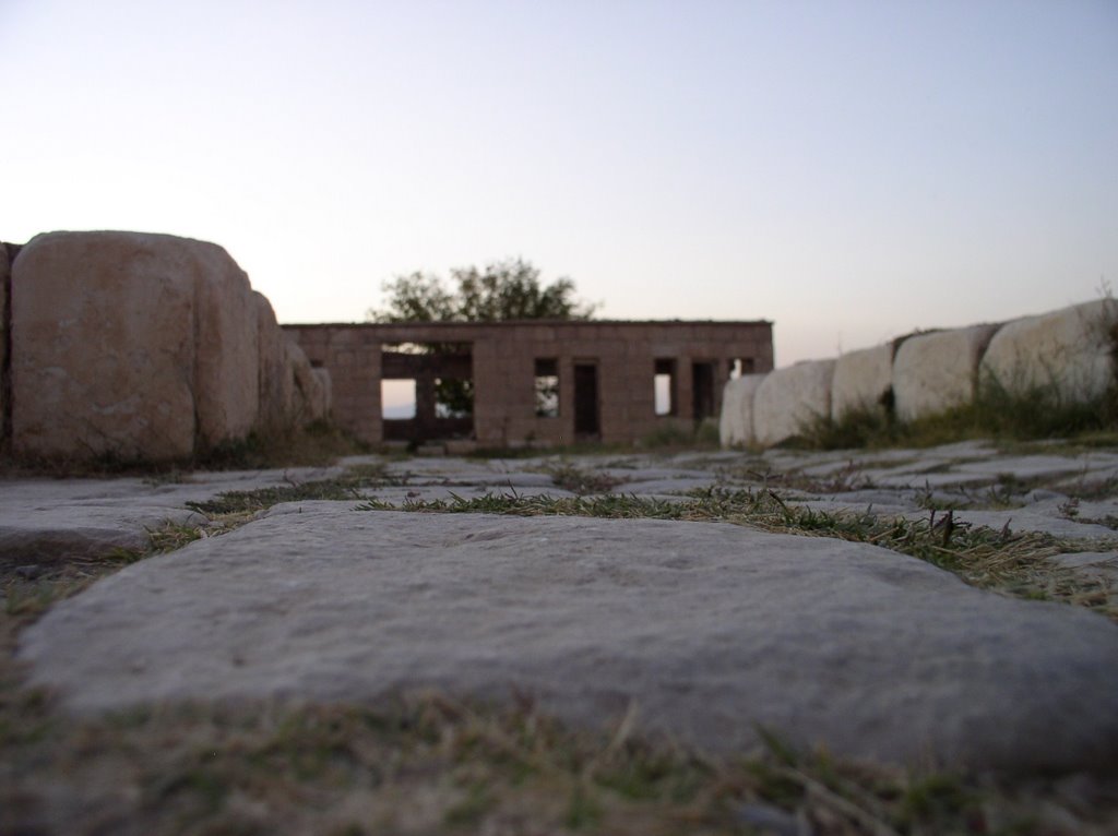 Pasargadae, Fars Province, Iran by pirzad