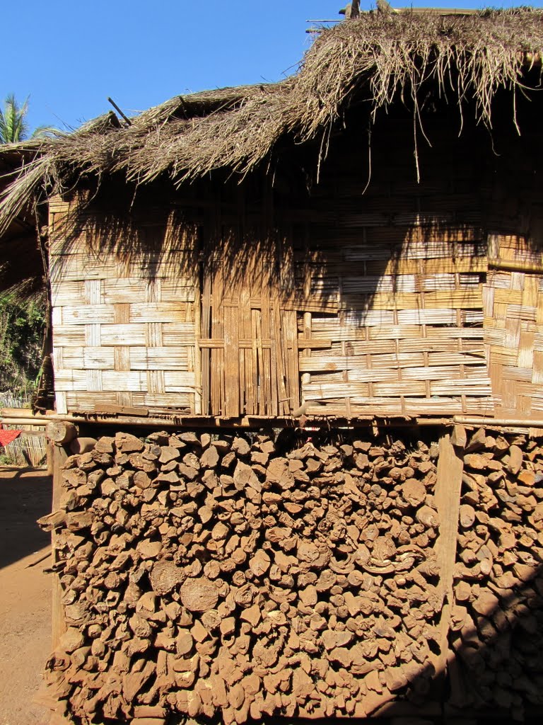 Laos, Plateau des Boloven, "village ethnique" by daniel wilk