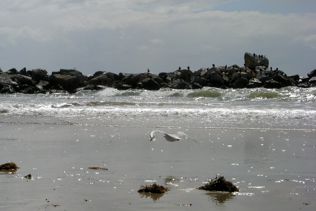 Strand bei Adelaide by steffen häuser