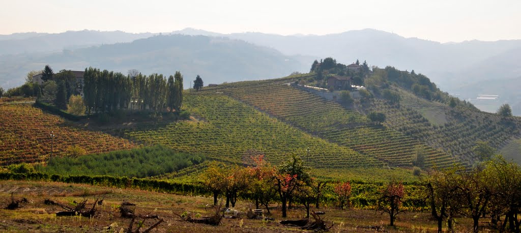 Autunno a Canelli by Gian Luca Schiavoni