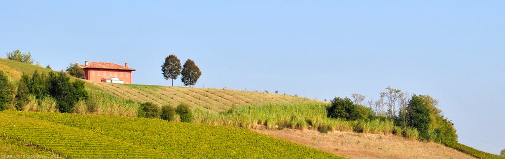 Piemonte by Gian Luca Schiavoni