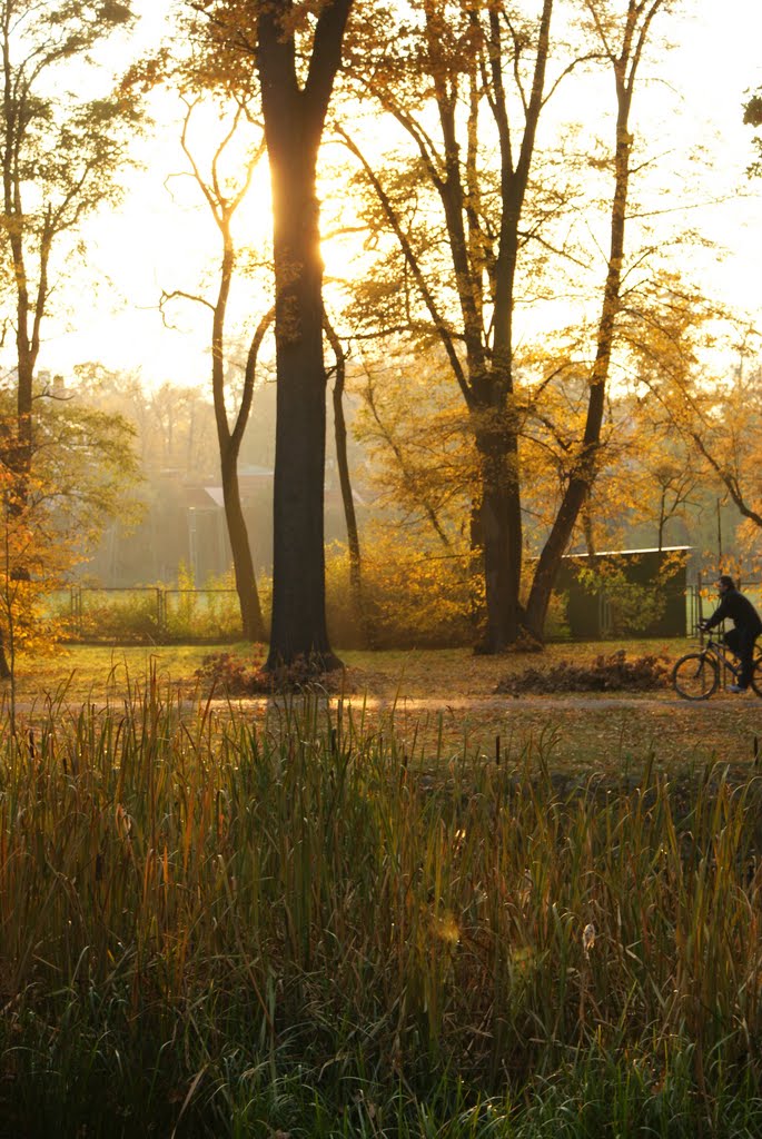 Park Szczytncki, Wroclaw, Poland by zyrafa75