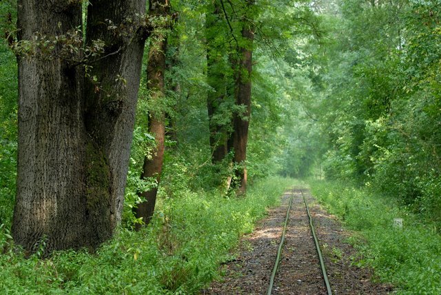 #11 Rails (Gemenc, Tolna, Hungary) by László Pazár