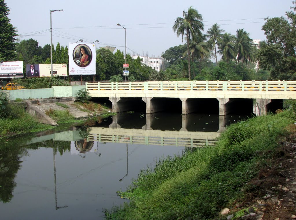 Bridge over Canal at Salt Lake by Biplab Kumar Pal