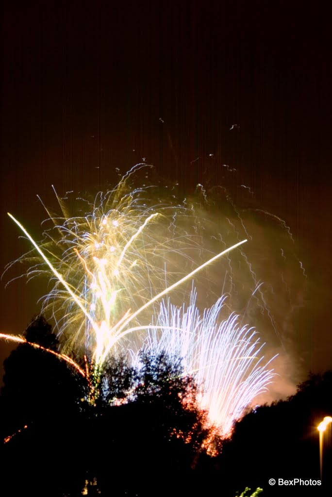 Castle Park Fireworks display by BexPhotos