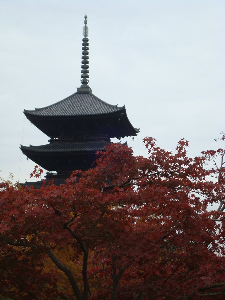 東寺 by Hidenobu Oishi