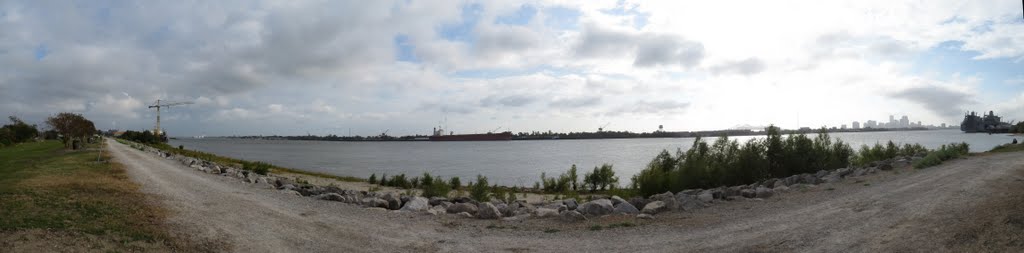 20111106 New Orleans from Holy Cross riverside by jsyr