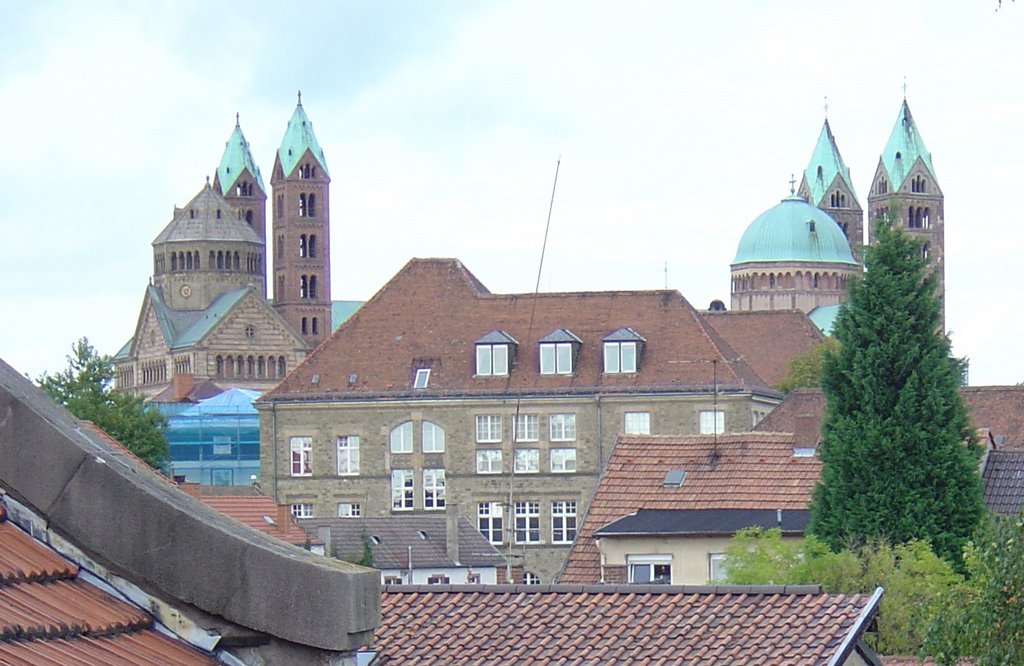 Speyer, Blick zum Dom und Gymnasium am Kaiserdom by Hermann Hauber