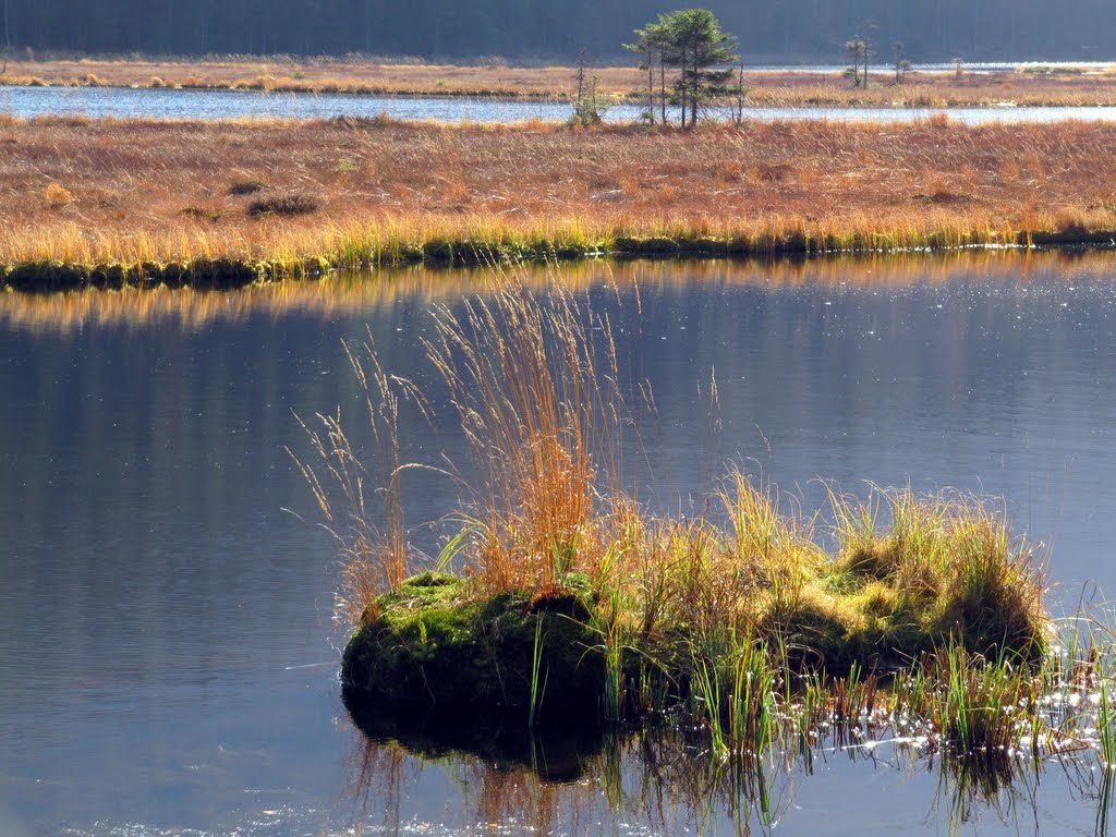 Kleiner Arbersee, Herbststimmung by Kastl