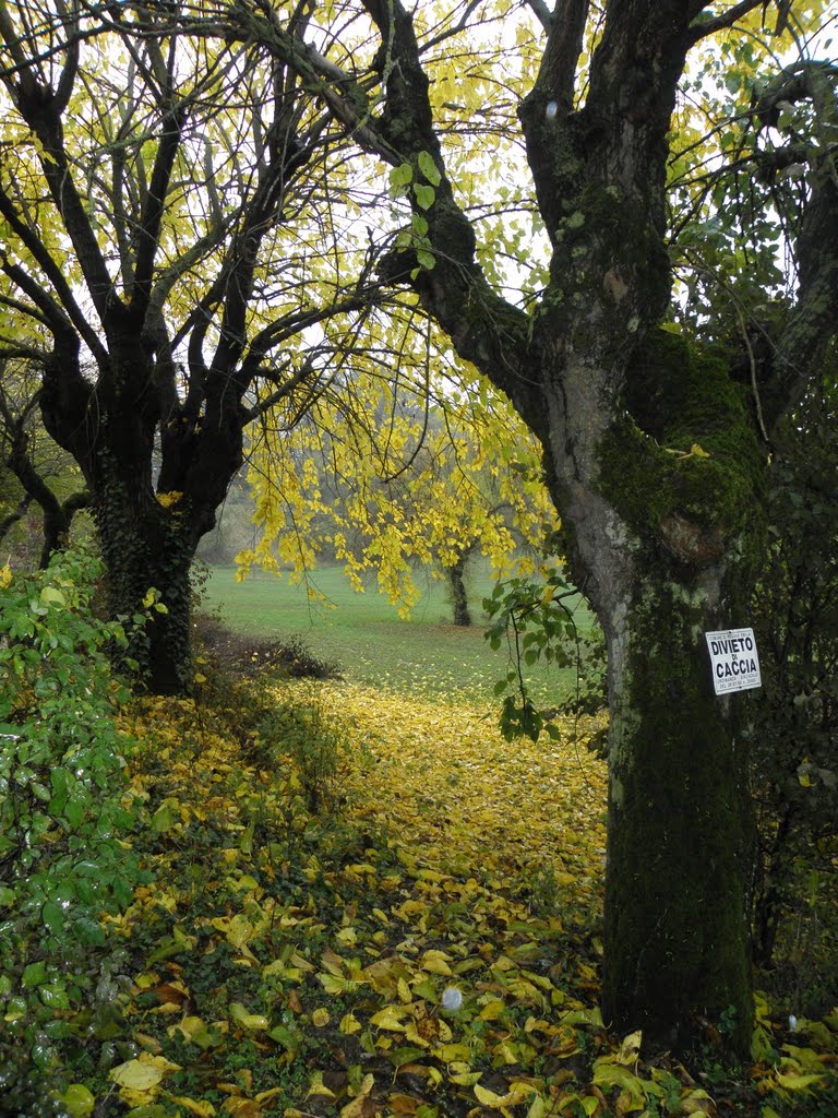 Colori d'autunno a Rivalta 2 by Marco Margini