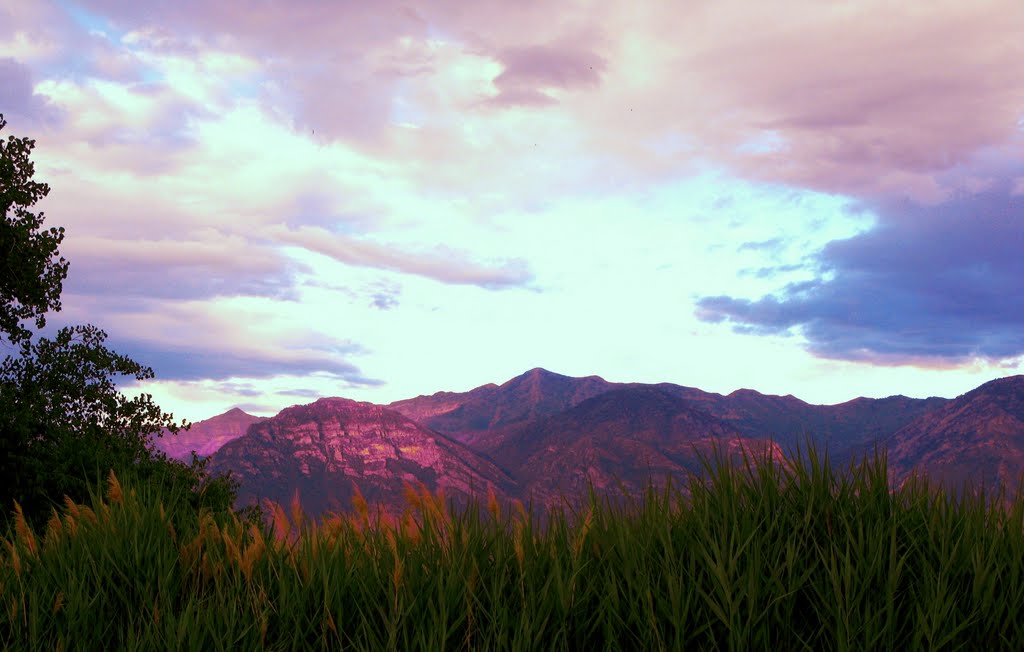 View from Utah Lake State Park Campground by pauline8228