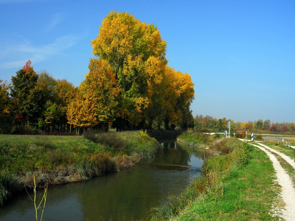 Vigonza - Tergola - Autunno by bruspola