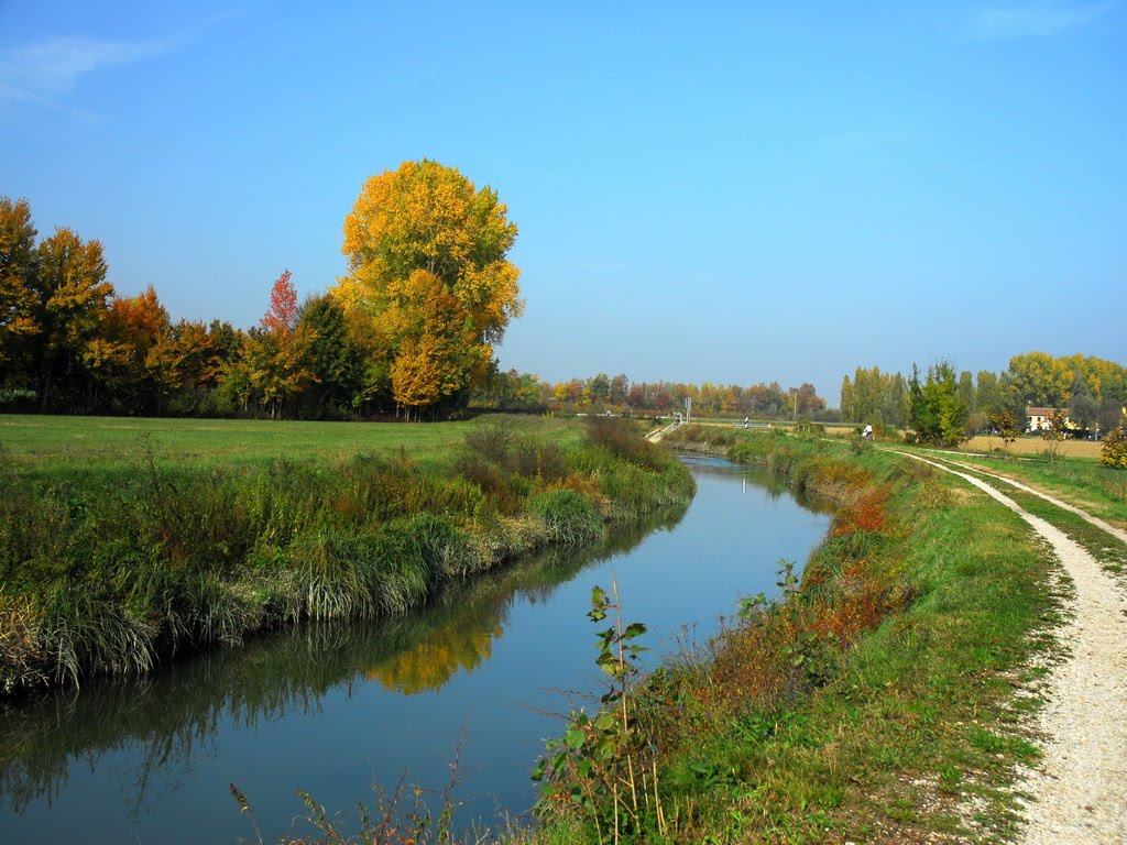 Vigonza -Tergola - Autunno by bruspola