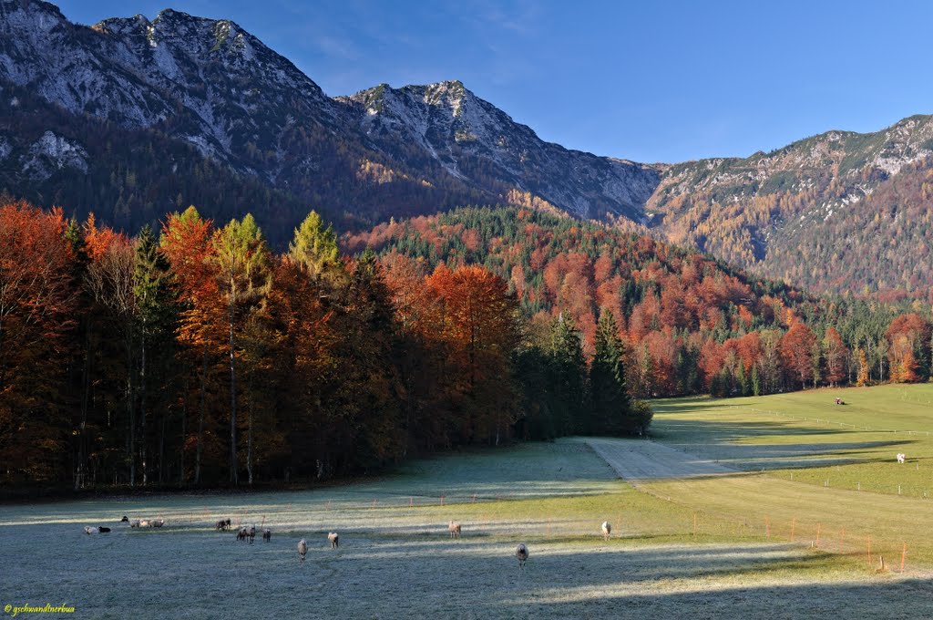 Ramsaufelder mit Kalmbergen, Bad Goisern by gschwandtnerbua