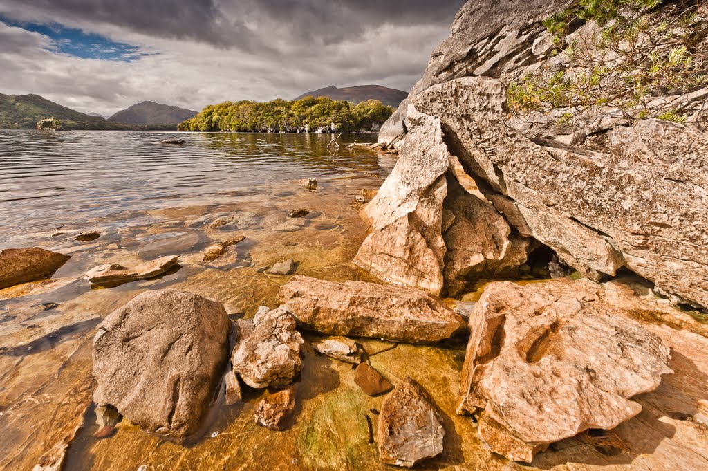 Killarney National Park, Co. Kerry, Ireland by Aga Put