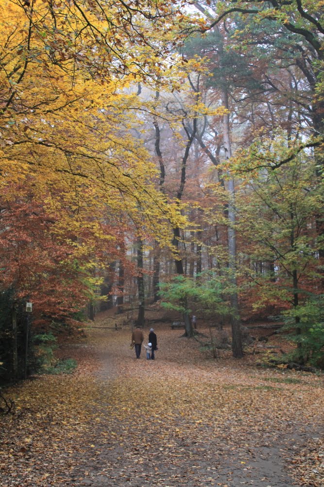 11/2011 Herbst im Alstertal by Jimminis