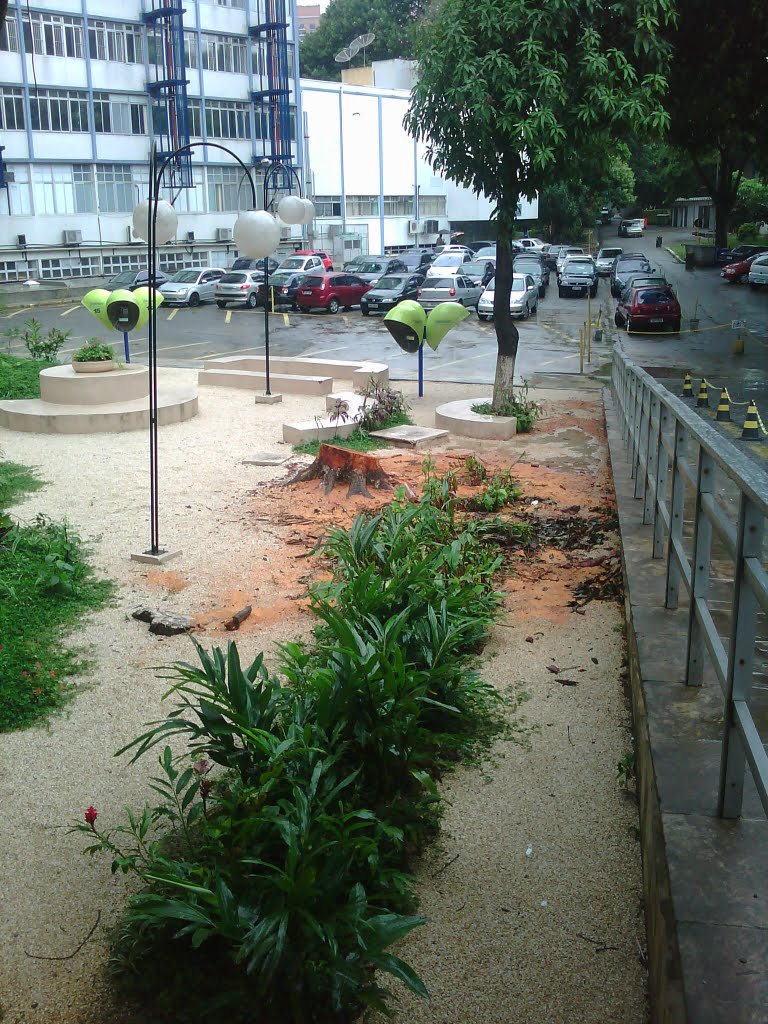 Corte de uma árvore de 50 anos no Hospital Servidor Público Estadual,São Paulo, SP.BR. by Osli Barroso