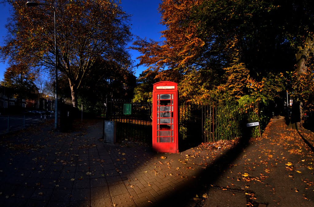 Standing outside a broken telephone booth by fat-freddies-cat