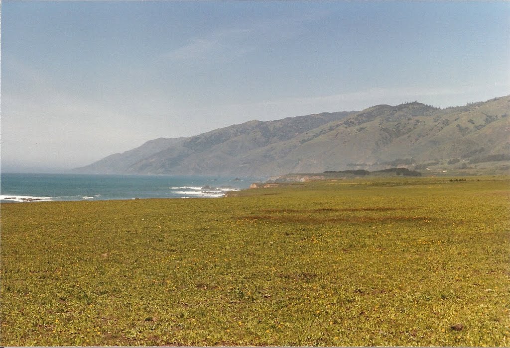 Approaching Big Sur by rutschke.jr