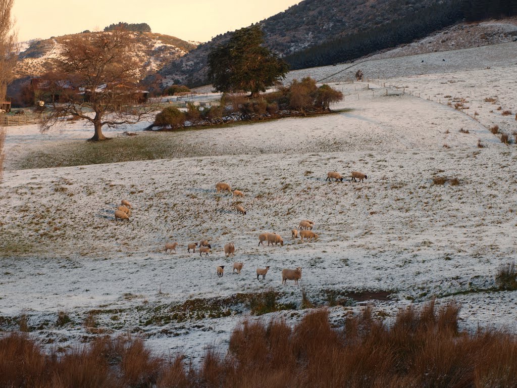 Behind Hiwiroa, Waimate. by jokertrekker