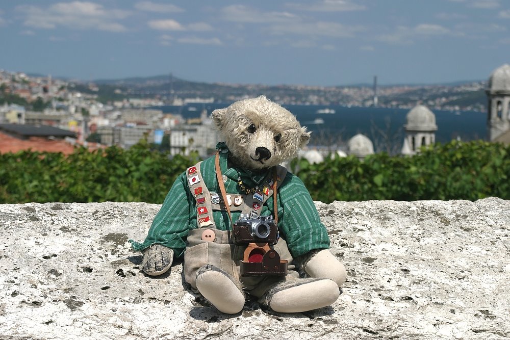 Honk in Istanbul by Teddy Bear Museum