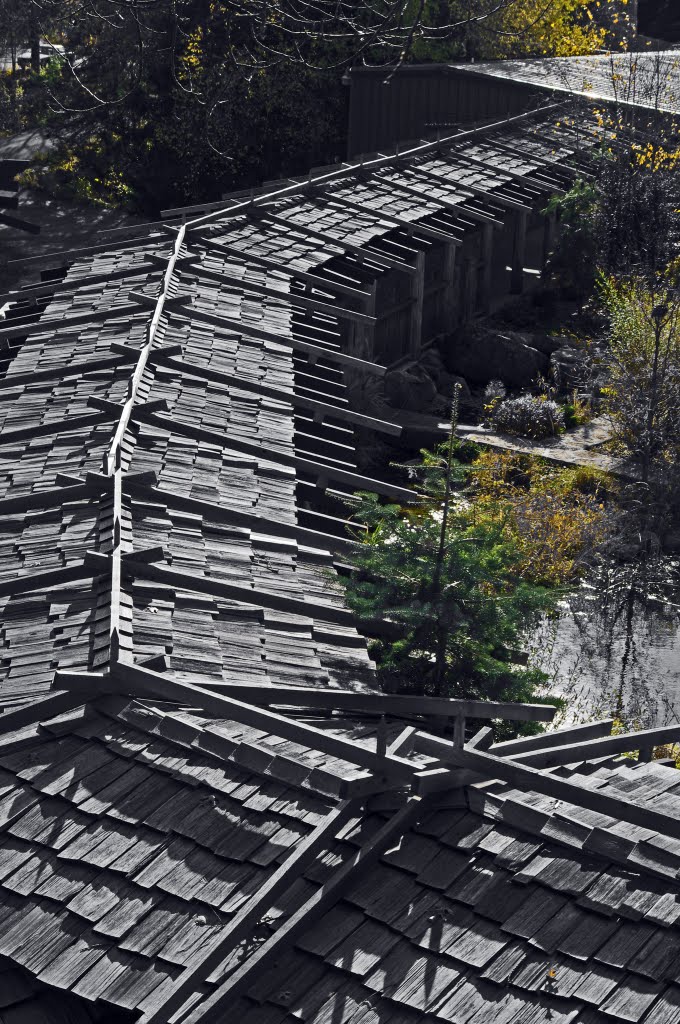 Roof along Japanese Garden at House on the Rock, WI by Todd Stradford