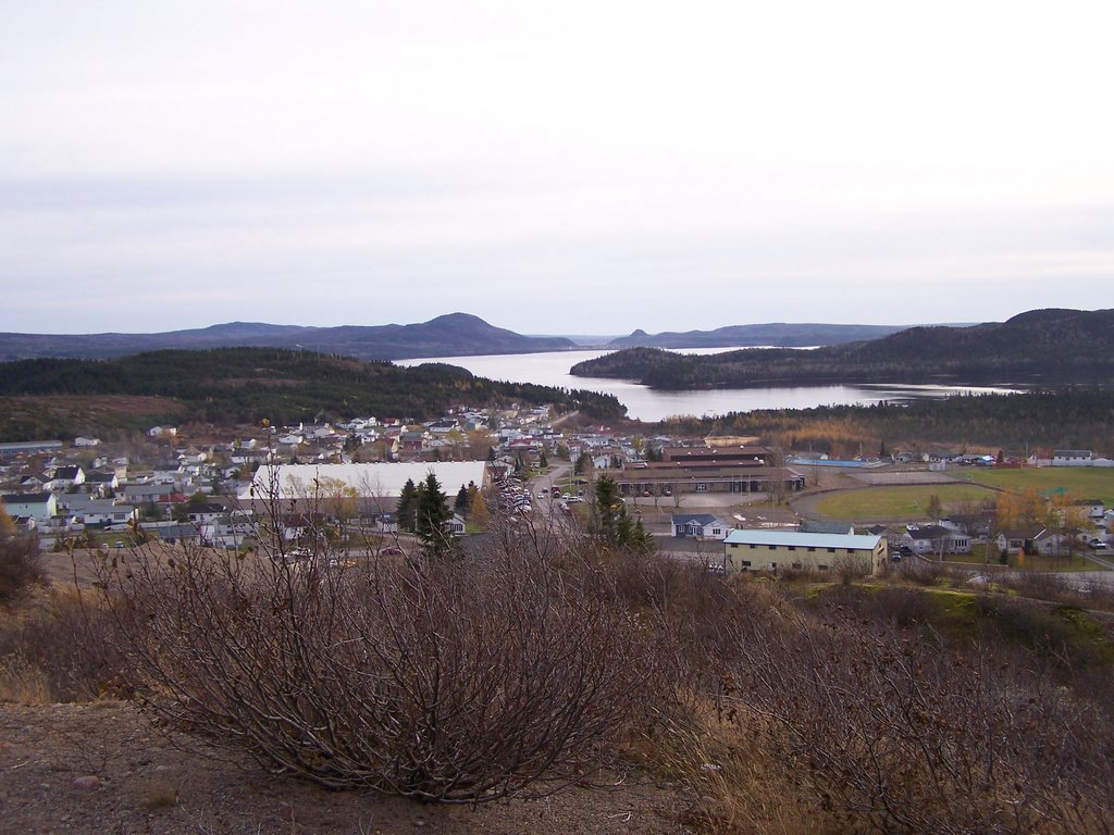 Town of Springdale, NL. by amcgardner