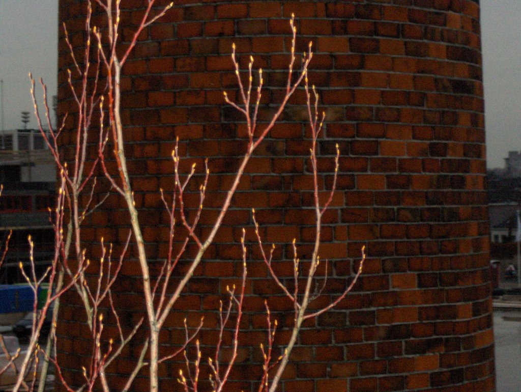 Schoorsteen en boom by Guido Musch