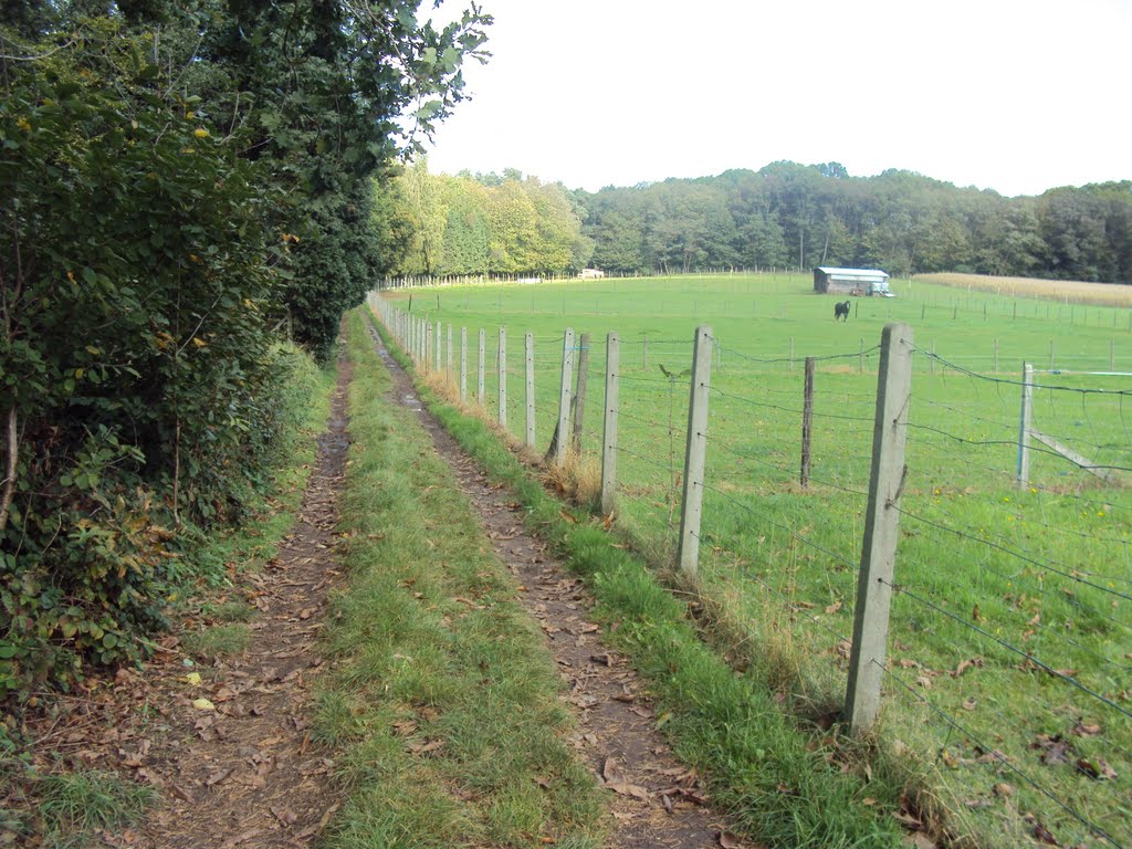 Holsbeekwandeling (oktober 2011) by Wandelen rond Leuven | Hiking around Leuven (