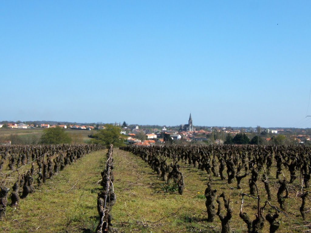 Tillières, vigne et village by tofil44