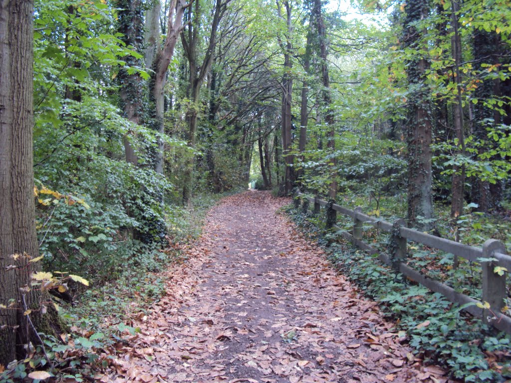 Holsbeekwandeling (oktober 2011) by Wandelen rond Leuven | Hiking around Leuven (