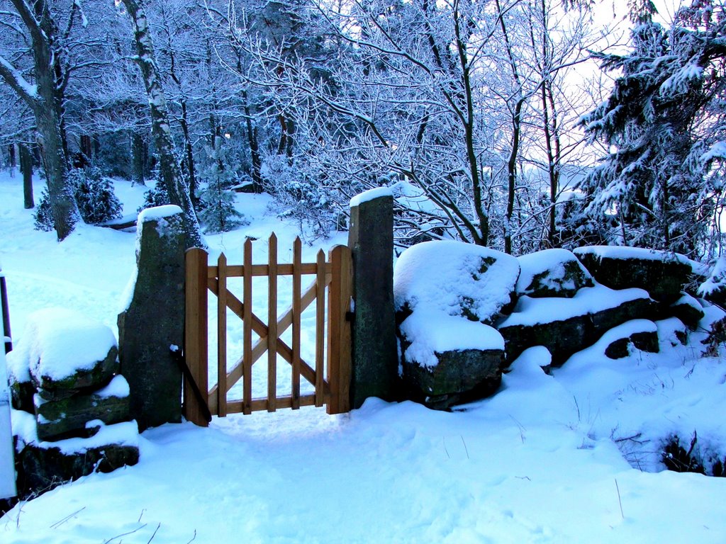 Vinter i bryngenäs.Sweden.2006 by Despina Mousafiri