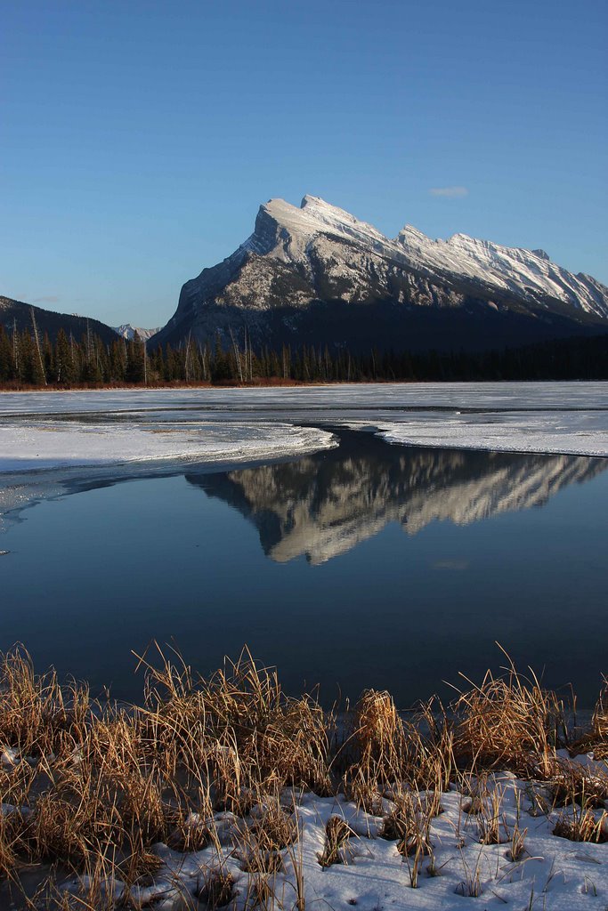 Vermillion Lakes view of Mt Rundell by Schulhof