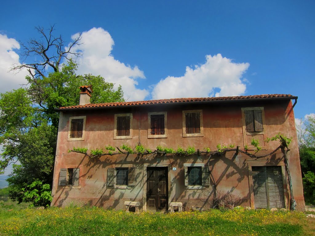 Tipica casa rurale veneta -Typical farmhouse by Dino Danieli