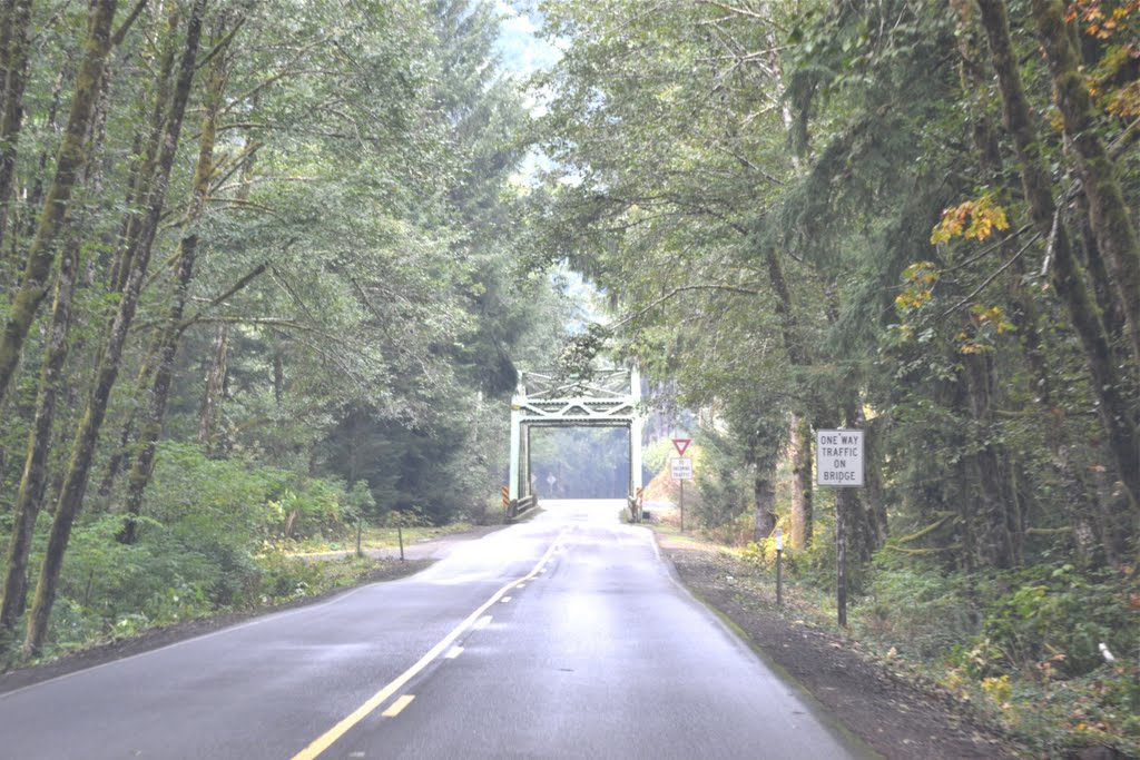 Nestucca River Bridge by Buddy Rogers