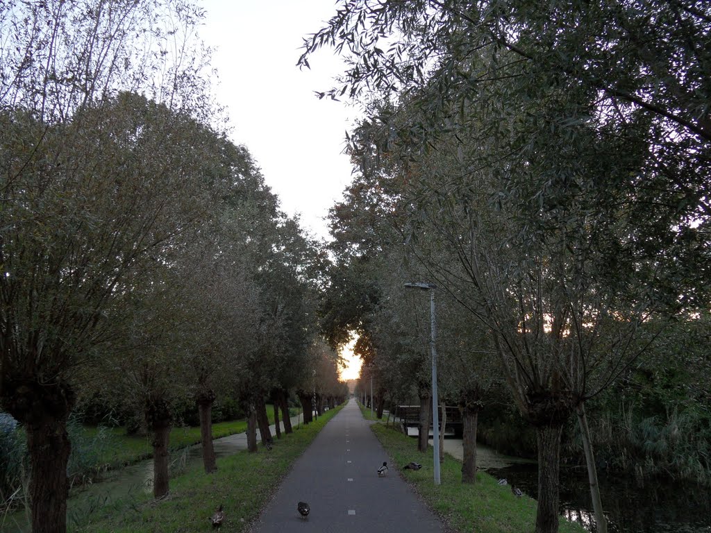 Broekweg by orban.lorant