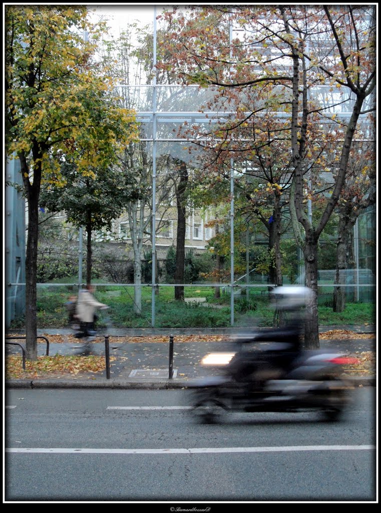 Chassé-croisé déjanté by Bernard Bozzard