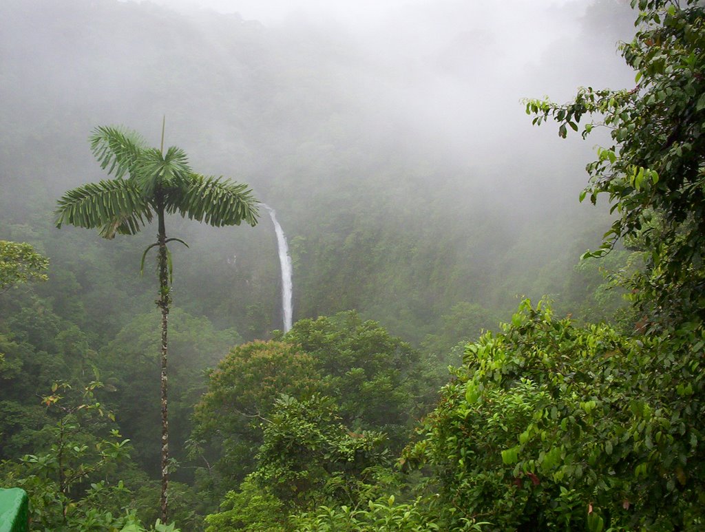 Waterfall La Fortuna by Wendy Donigian