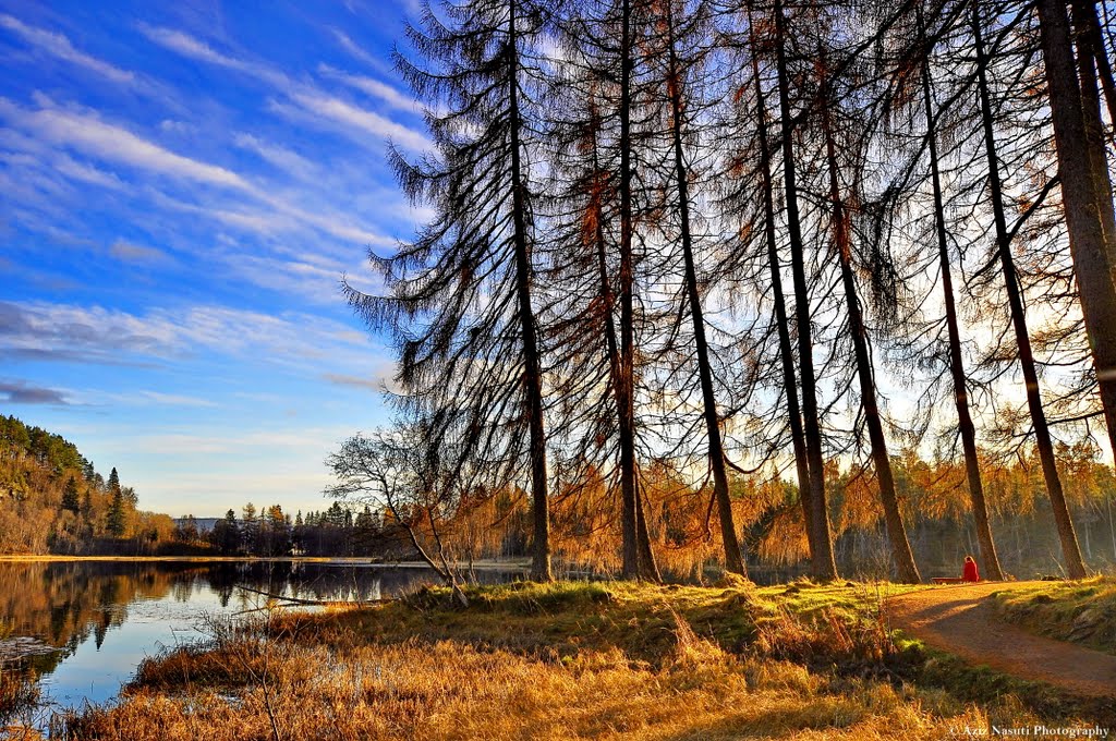 Teisendammen , Trondheim by Aziz Nasuti